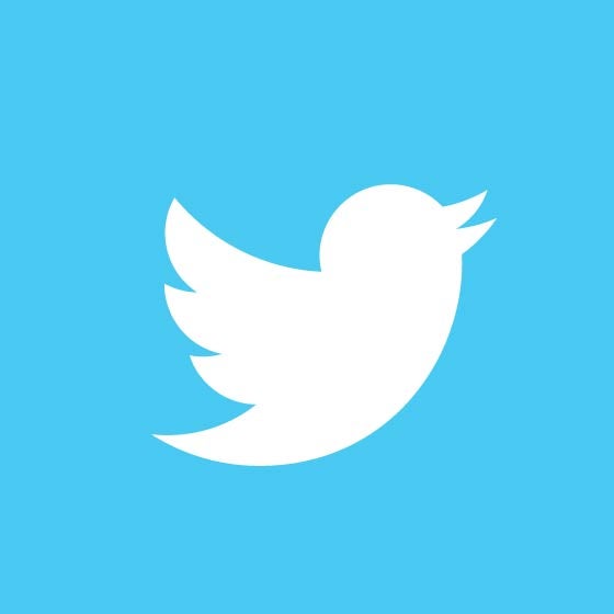 Twitter Social Icon