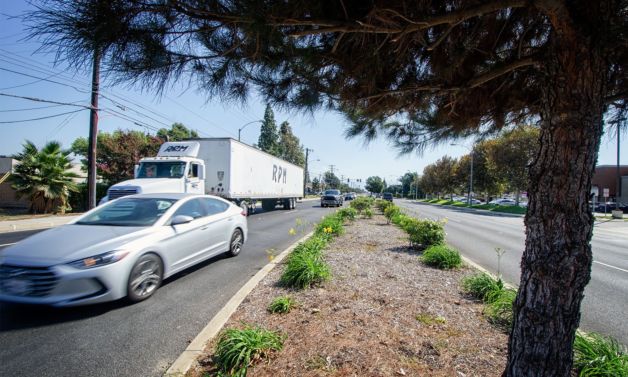 A truck and a car drive along a divided multi-lane road bordered by trees and a landscaped median on a sunny day.