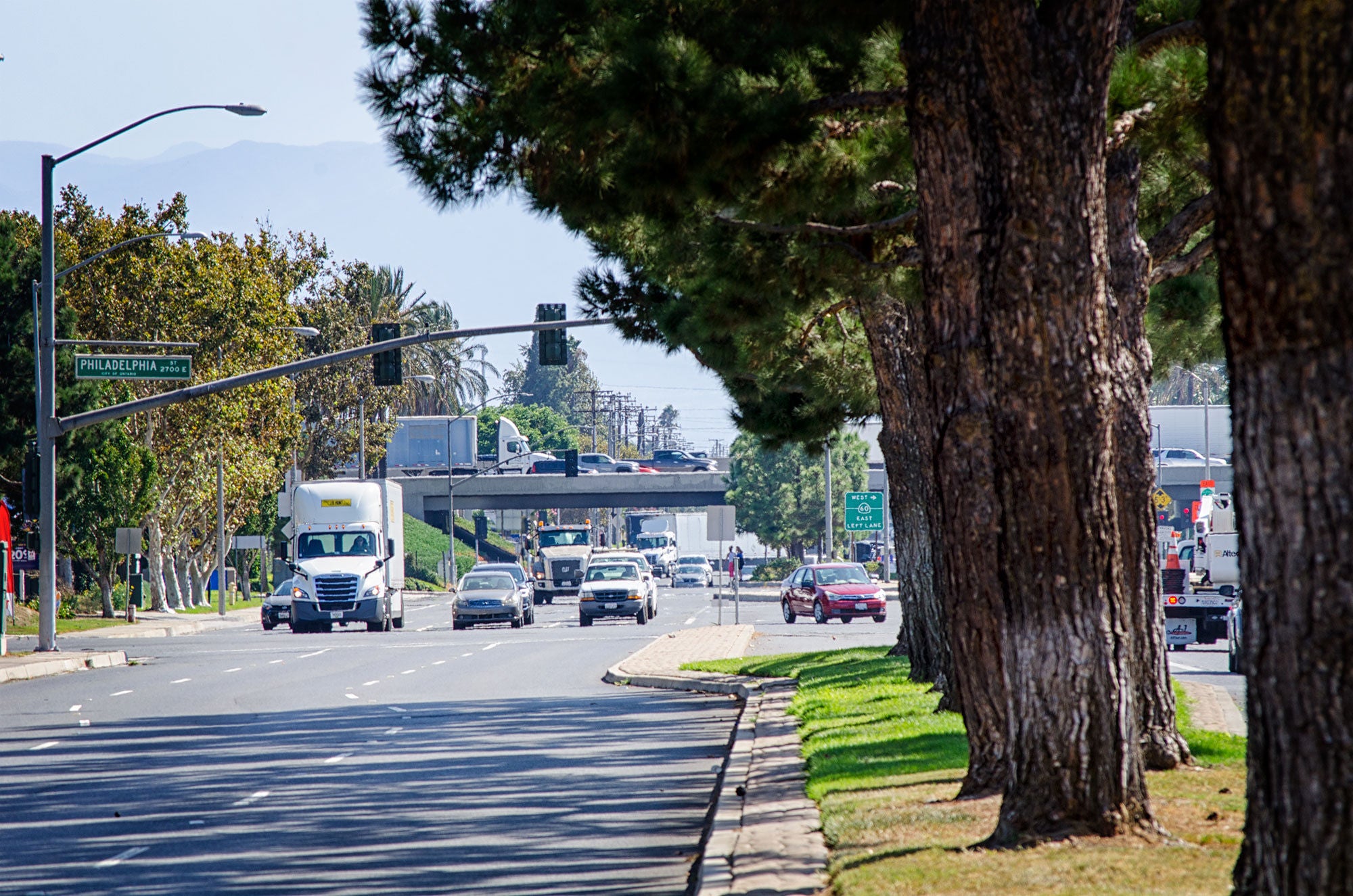 A tree-lined urban street with cars and a truck driving, traffic lights, and an overpass in the background on a sunny day.