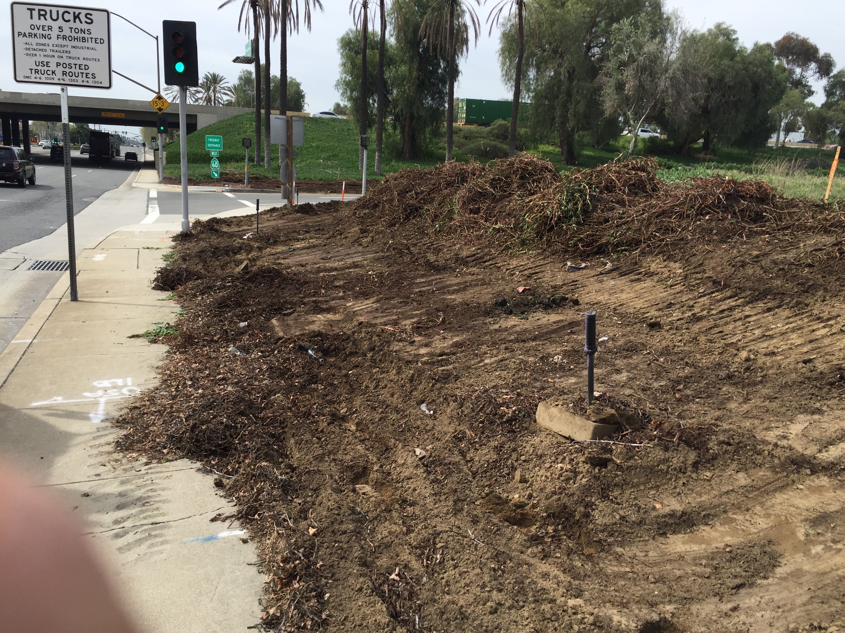 Dirt-covered roadside area with scattered debris and overgrown vegetation, next to a sidewalk and traffic signs at a street intersection.