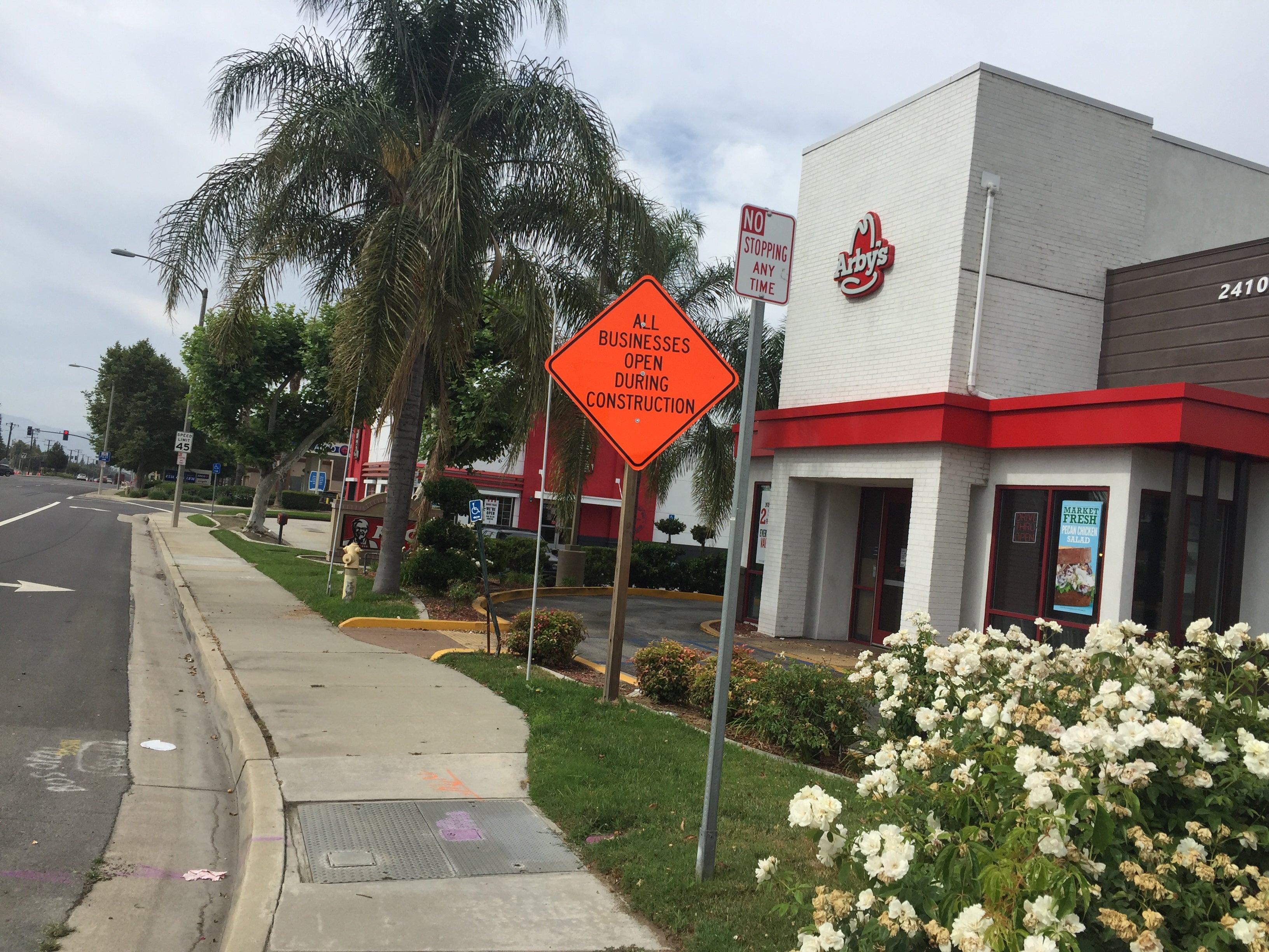 A sidewalk runs beside a road and Arby’s restaurant, with a sign that says "All Businesses Open During Construction" near palm trees and white flowers.