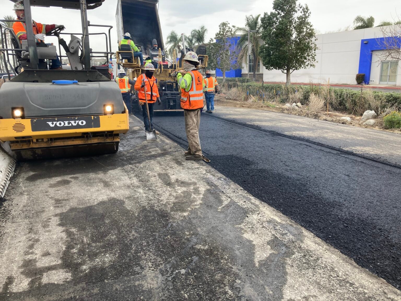 Road construction workers in safety vests operate machinery and spread fresh asphalt on a road under repair near a commercial area with trees and buildings in the background.